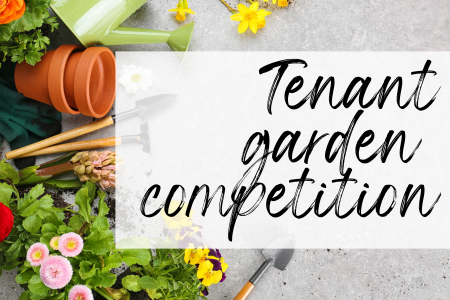 Tenant Garden competition