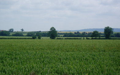 Melton Countryside