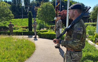 Armed forces day flag